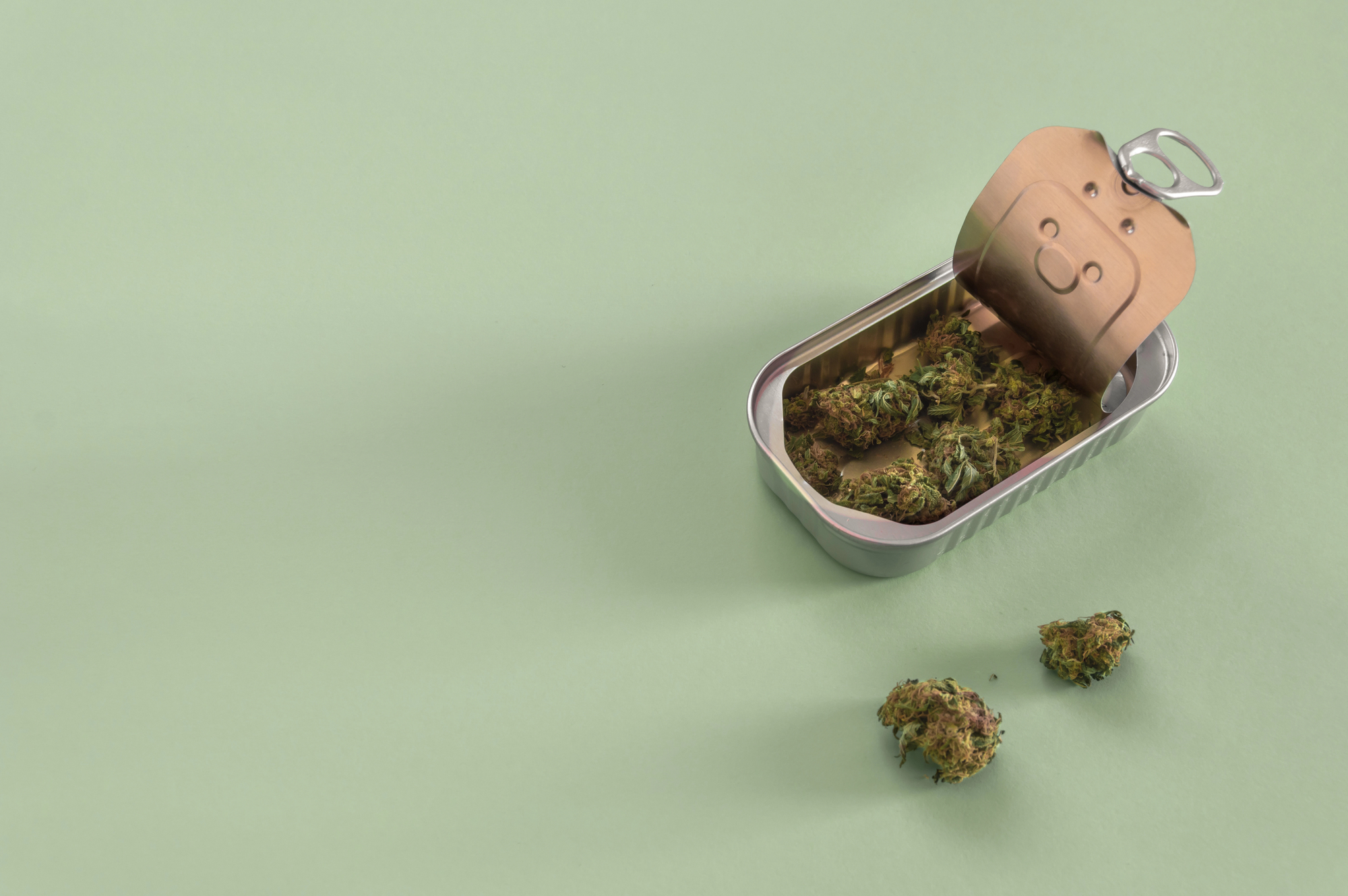 The Green Room vs Bear’s Den Cannabis: Which Dispensary Should You Visit?
