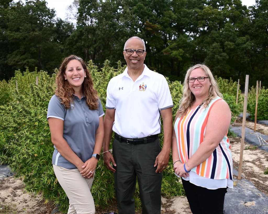 Researchers beside hemp plants in a field