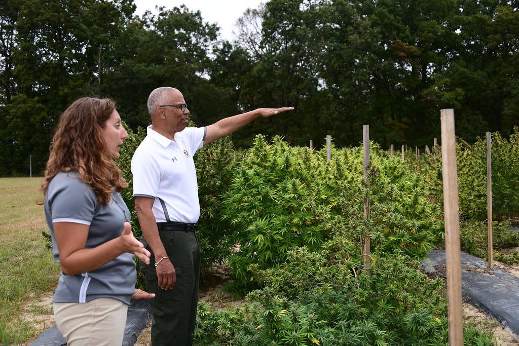 UMD Extension Hemp Field